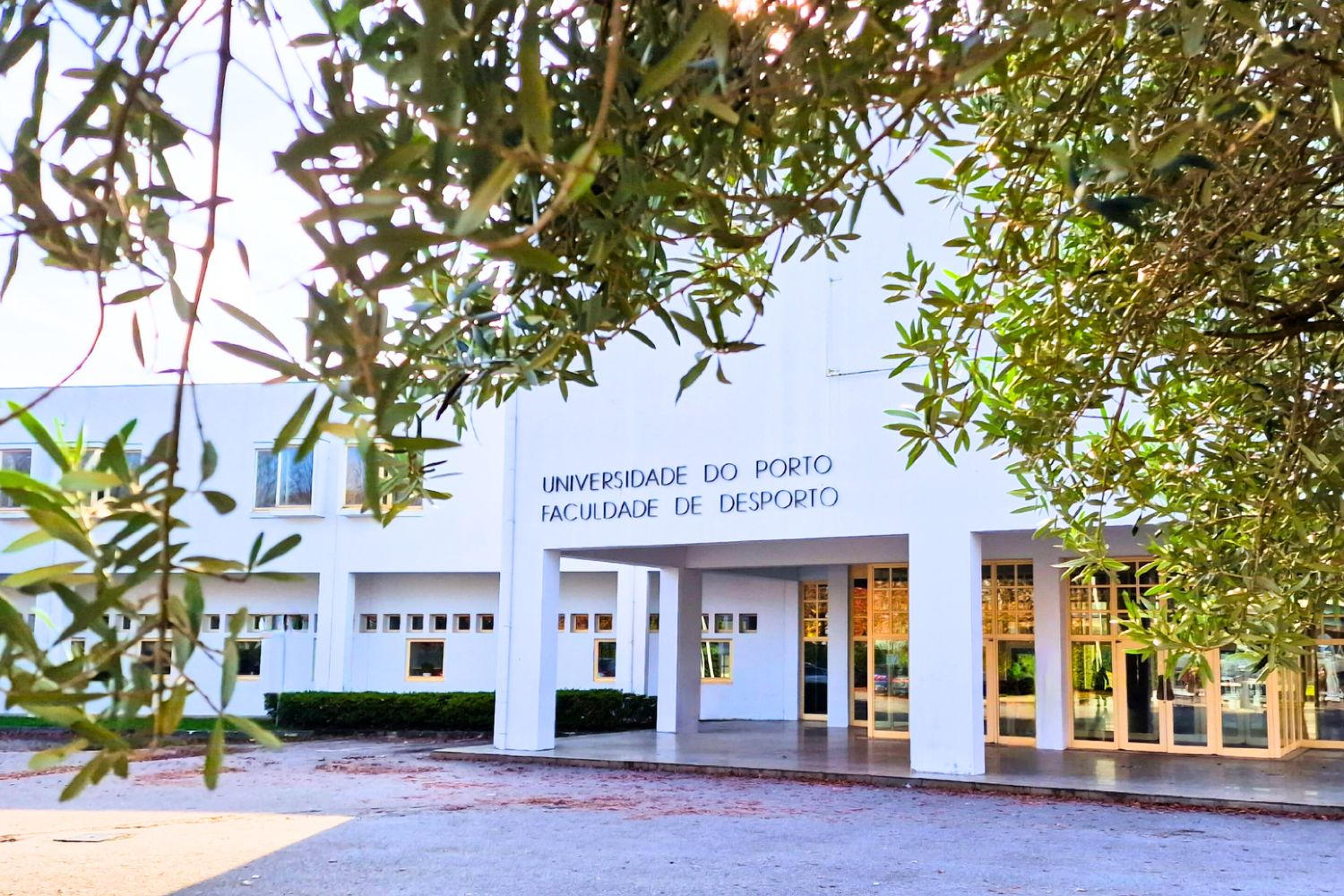 Licenciatura em Ciências do Desporto