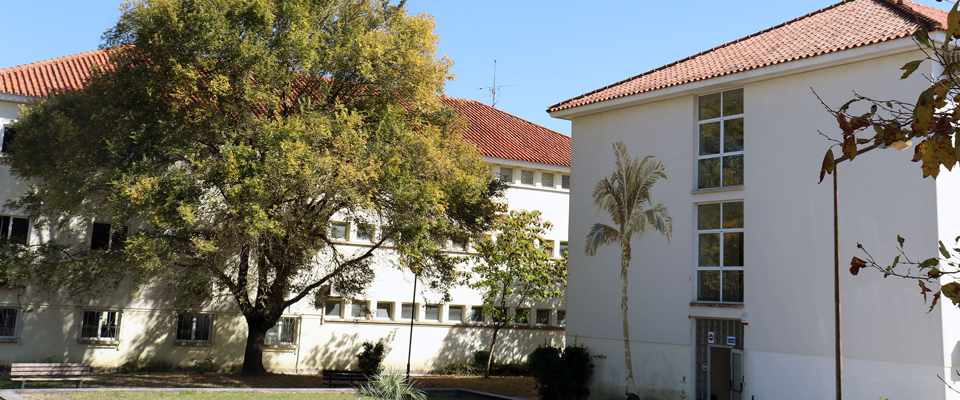 Licenciatura em Produção Multimédia em Educação
