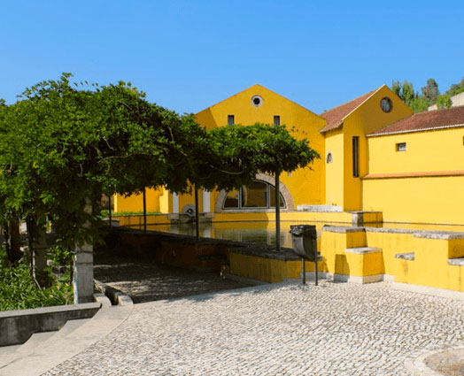Mestrado em Enfermagem Comunitária, na área de enfermagem de Saúde Comunitária e de Saúde Pública