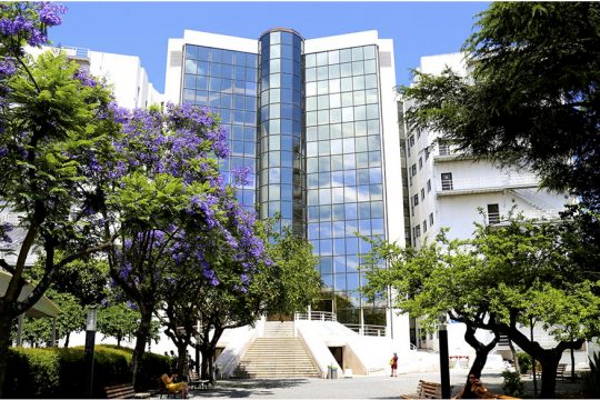 Licenciatura em Sociologia