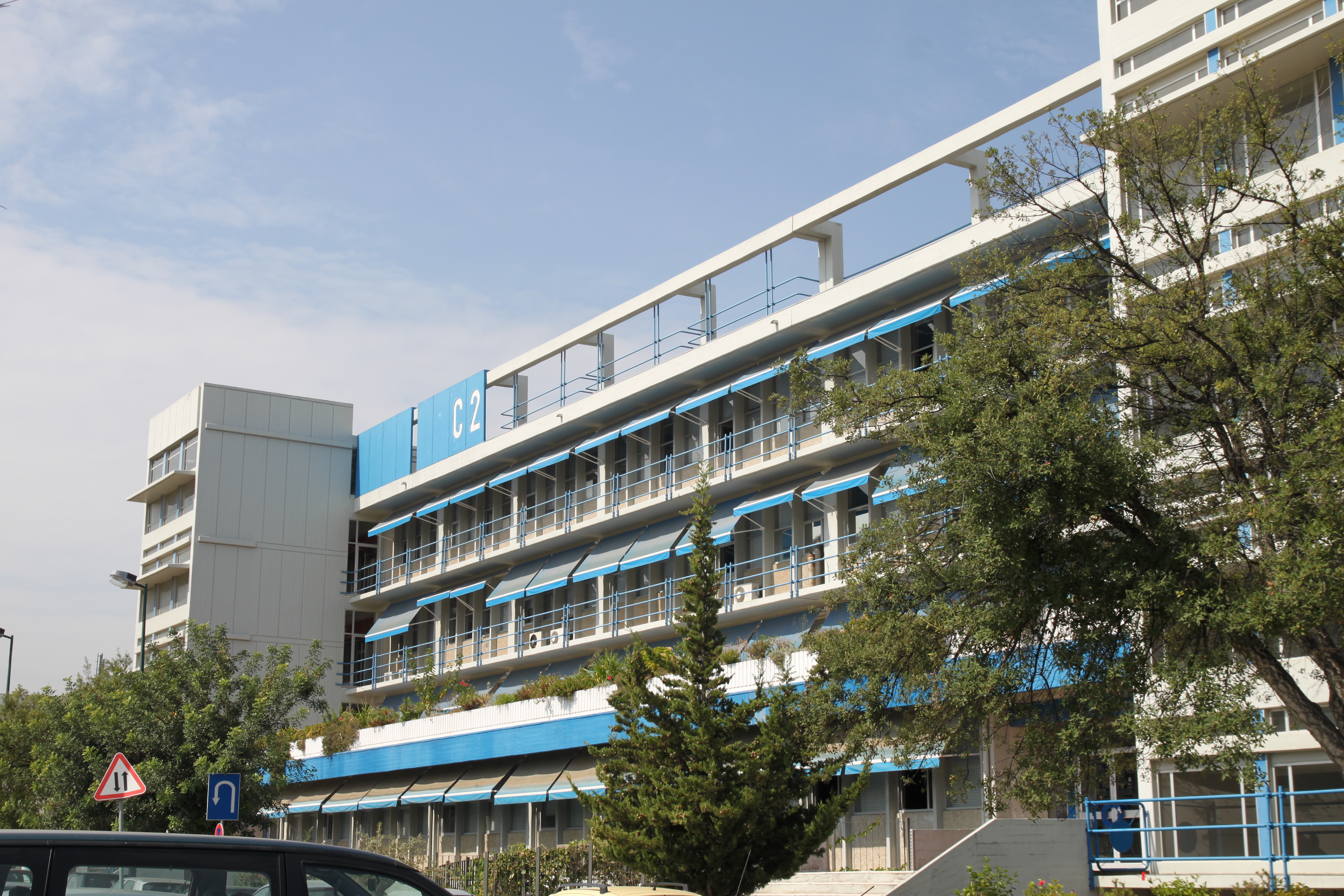 Mestrado em Biologia do Organismo e Evolução